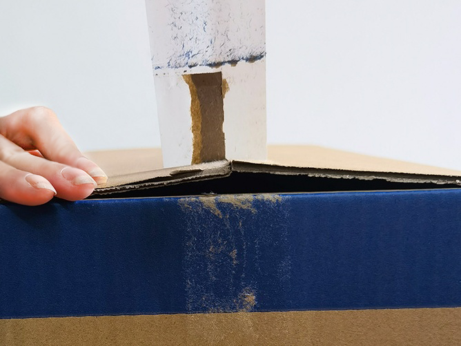 成都香蕉视频APP下载安卓