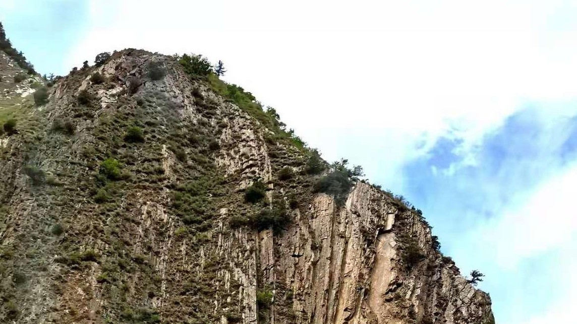 91香蕉视频免费旅途感受