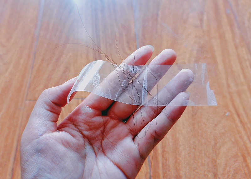 透明香蕉视频APP下载安卓