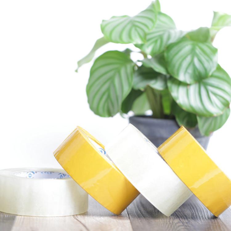 香蕉视频APP下载安卓