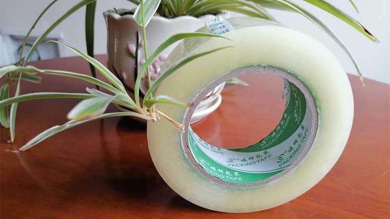 香蕉视频APP下载安卓生產廠家精心製作減少浪費