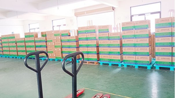 疫情下的香蕉视频APP下载安卓企業該何去何從？