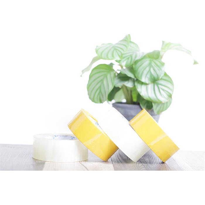 香蕉视频APP下载安卓