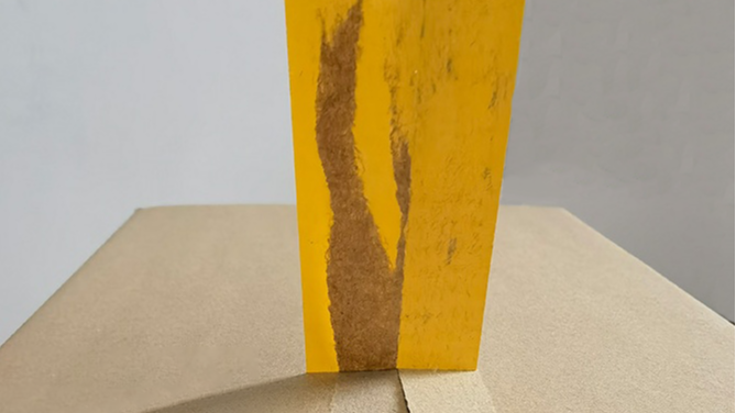 成都91香蕉视频免费包裝主要擁有哪些產品？