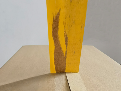 透明香蕉视频APP下载安卓擁有什麽奇特的影響